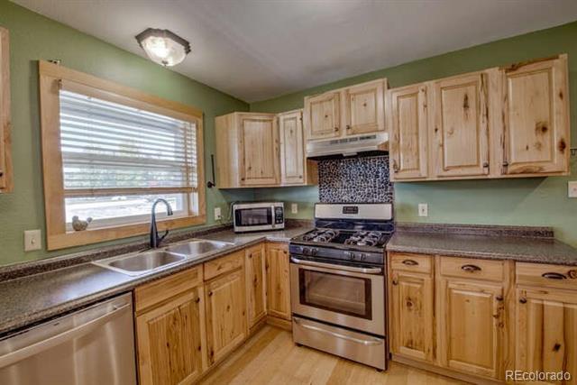 801 Crawford Ln in Fairplay, CO - Building Photo
