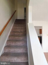214 Banbury Terrace in Winchester, VA - Building Photo - Building Photo
