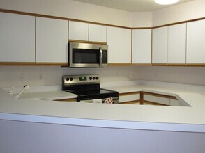 1419 Millbrook Trail in Ann Arbor, MI - Building Photo - Building Photo