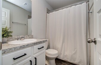 16823 Bristle Cone Wy in Conroe, TX - Building Photo - Building Photo