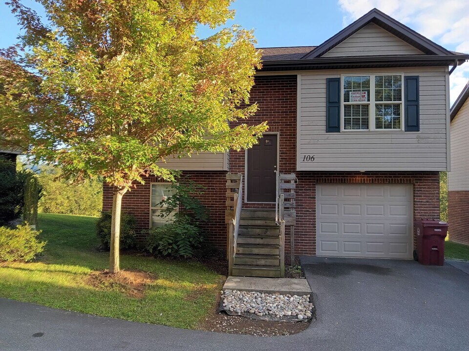 1720 Skyline Dr in Johnson City, TN - Building Photo