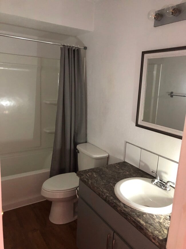 309 Shady Grove Dr in Granbury, TX - Building Photo - Building Photo