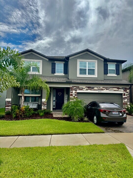 2990 Marine Grass Dr in Wimauma, FL - Building Photo