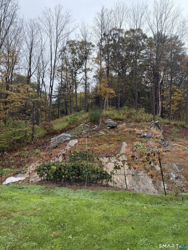 91 Reynolds Bridge Rd in Thomaston, CT - Building Photo - Building Photo