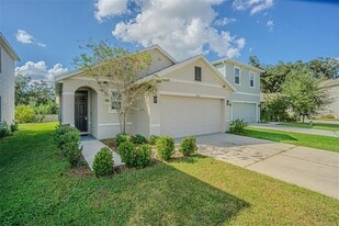 10853 Trailing Vine Dr in Tampa, FL - Building Photo