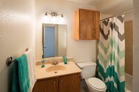 Coronado Bathroom.jpg - Brandywine Apartments in Lexington, Kentucky