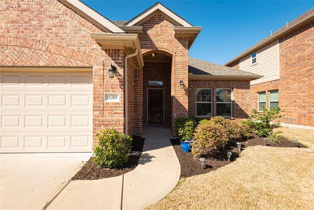11205 Amistad Dr in Frisco, TX - Building Photo - Building Photo