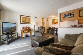 3354 S Flower St in Denver, CO - Building Photo - Building Photo