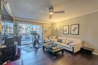 8250 E Arabian Trl in Scottsdale, AZ - Foto de edificio - Building Photo