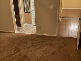 1811 Tarah Trace Dr in Brandon, FL - Building Photo
