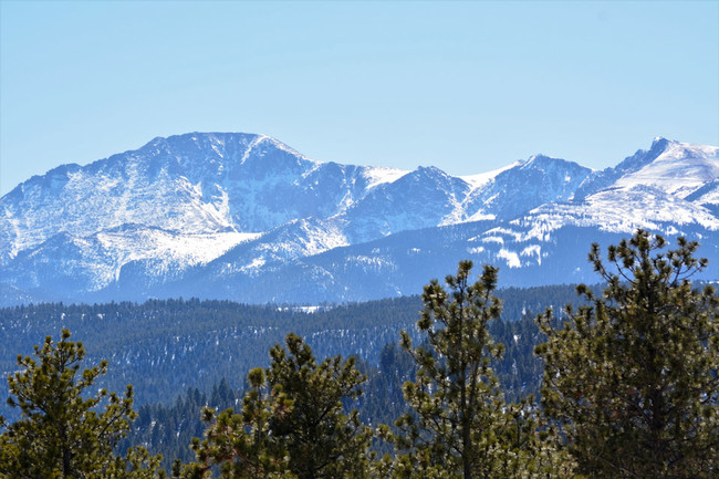 Trail Ridge at Woodland Park