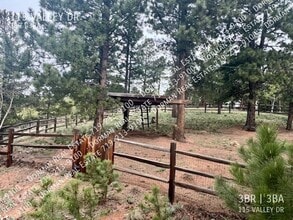115 Valley Dr in Divide, CO - Building Photo - Building Photo