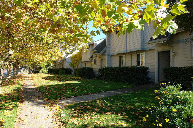 Windwood Apartments in Cotati, CA - Foto de edificio - Building Photo