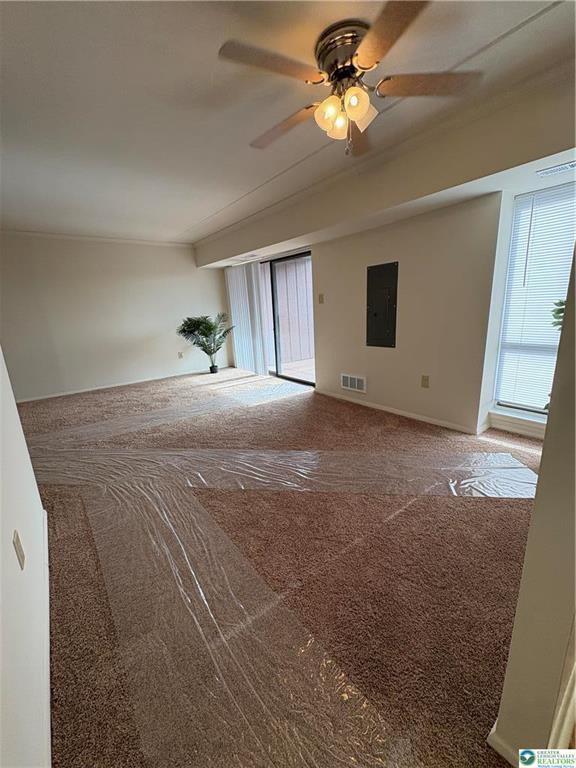 property at 911 George St