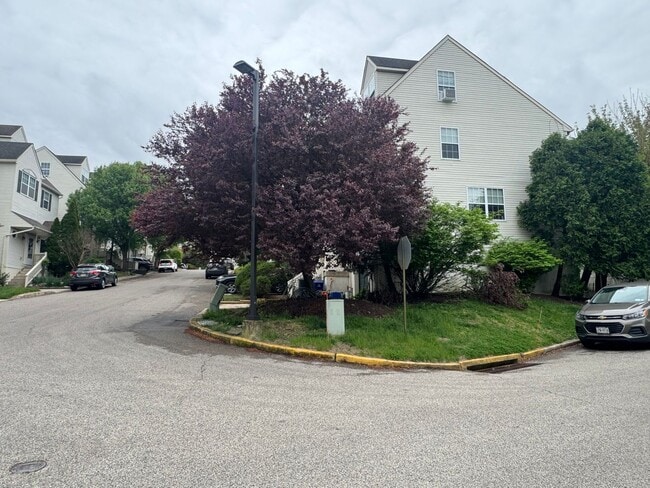 6718 Cinnamon Dr in Philadelphia, PA - Building Photo - Building Photo