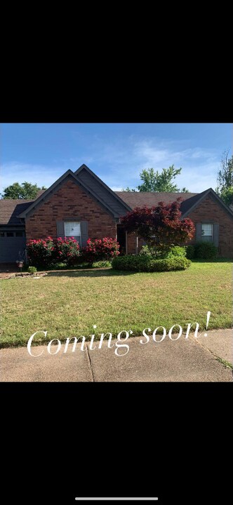 337 Silver Wolf Dr in Collierville, TN - Building Photo