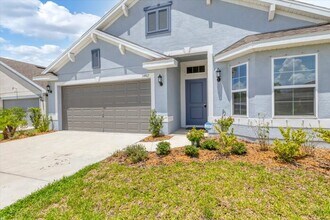 14917 Tropical Violet Wy in Wimauma, FL - Building Photo - Building Photo