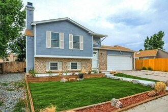 8488 Prairie Clover Way in Parker, CO - Building Photo - Building Photo