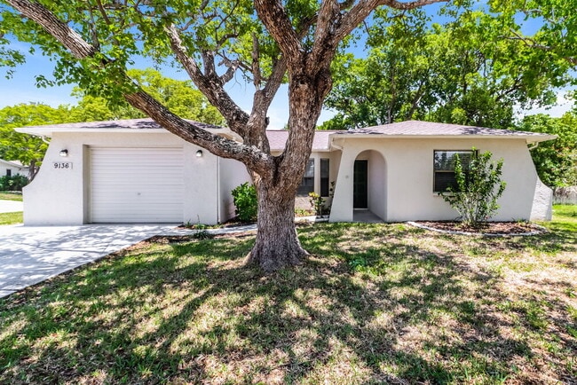 property at 9136 Lometa Ln