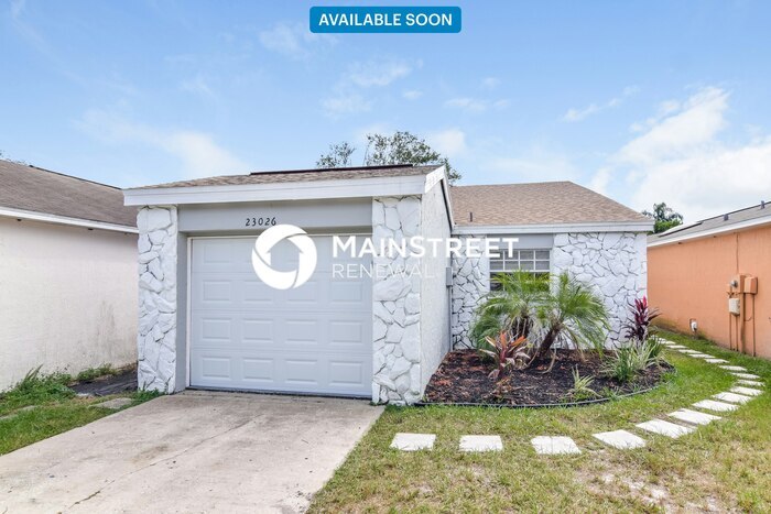 23026 Dover Dr in Land O Lakes, FL - Building Photo