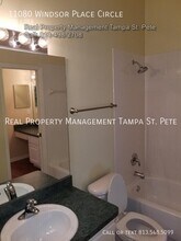 11080 Windsor Place Cir in Tampa, FL - Building Photo - Building Photo