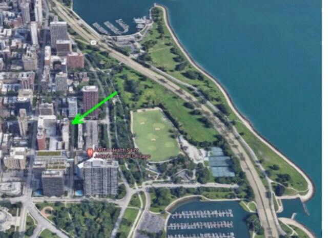 2930 N Commonwealth Ave in Chicago, IL - Building Photo - Building Photo