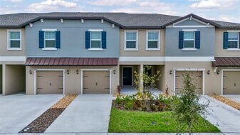10939 Wishing Cloud Rd in Land O Lakes, FL - Building Photo