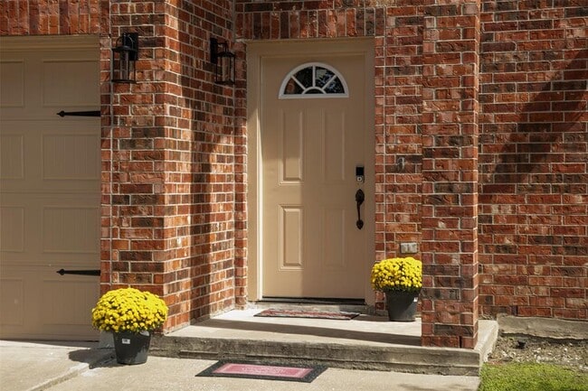 3713 Blue Cat Way in Round Rock, TX - Building Photo - Building Photo