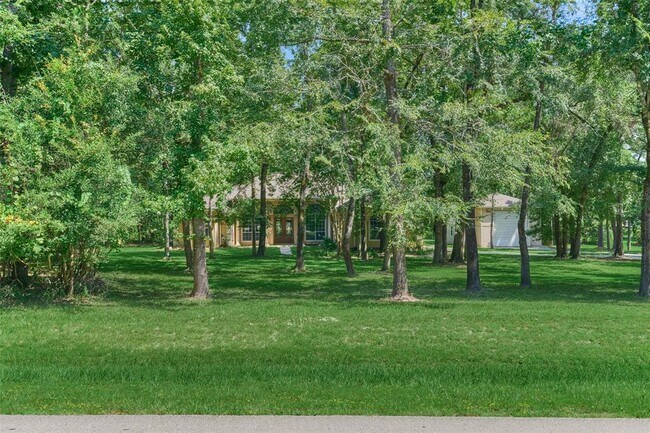 10506 Crestwater Cir in Magnolia, TX - Building Photo - Building Photo