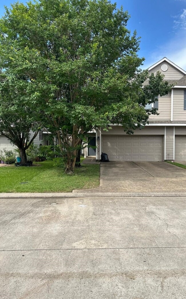 17138 Oakwood Chase Dr in Spring, TX - Building Photo - Building Photo