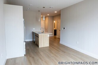 249 Corey Rd in Boston, MA - Foto de edificio - Building Photo