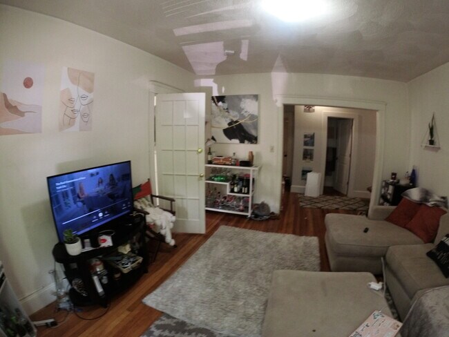 241 Freeman St, Unit 1 in Brookline, MA - Building Photo - Building Photo