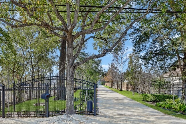 property at 1959 Knoll St