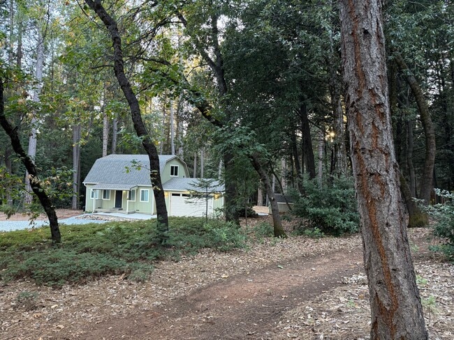 4224 Falcon Ln in Camino, CA - Building Photo - Building Photo