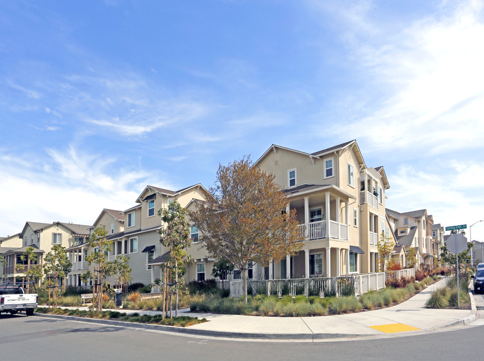 Bayshores in Newark, CA - Building Photo