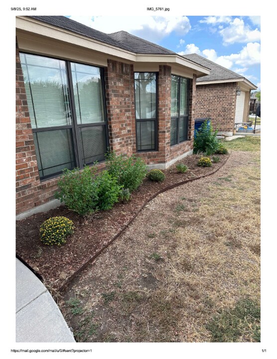 1123 Blazewood Dr in New Braunfels, TX - Building Photo