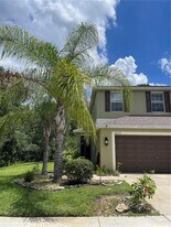 20233 Indian Rosewood Dr in Tampa, FL - Building Photo
