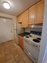 308 Laurel St in St. Louis, MO - Building Photo - Building Photo