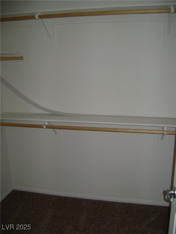 property at 793 Looking Bear Ct