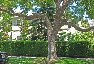 408 N Maple Dr in Beverly Hills, CA - Building Photo - Building Photo