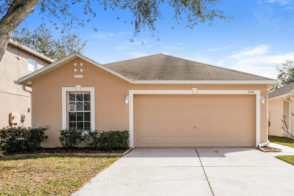 3646 Fyfield Ct in Land O Lakes, FL - Building Photo