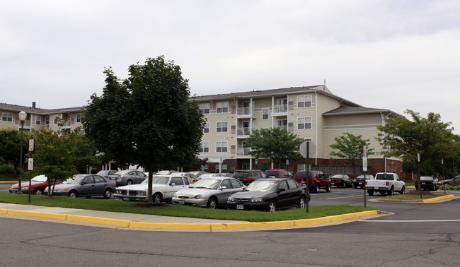 Wingler House in Ashburn, VA - Building Photo - Building Photo