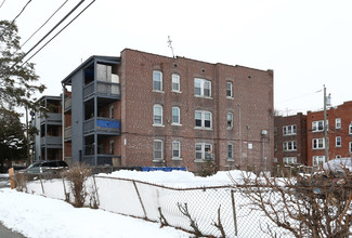 30-32 Dorothy St in Hartford, CT - Foto de edificio - Building Photo