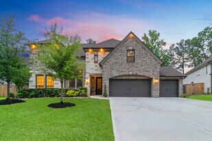 109 Bronze Peak Ct in Montgomery, TX - Building Photo