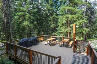 815 Columbine Rd in Breckenridge, CO - Building Photo
