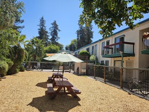 Redwood Green Apartments in Concord, CA - Building Photo - Building Photo