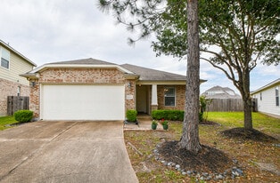 20302 Mathis Landing Dr in Cypress, TX - Building Photo