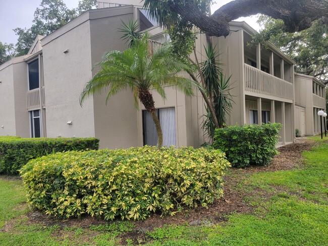 2200 Bahia Vista St, Unit B3 in Sarasota, FL - Foto de edificio - Building Photo