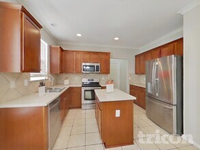 141 Carnousty Dr in Cibolo, TX - Foto de edificio - Building Photo