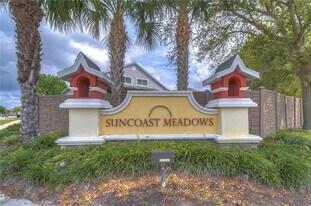 17455 Garden Heath Ct in Land O Lakes, FL - Building Photo